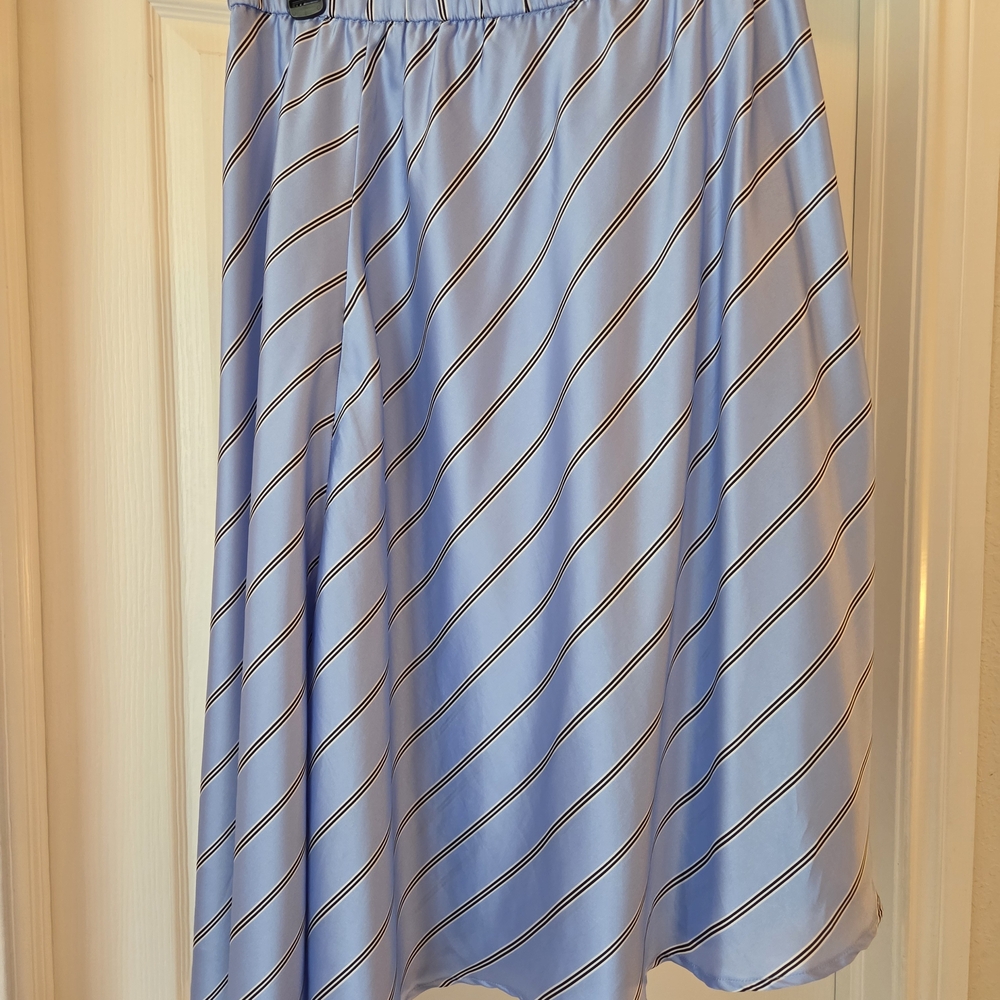 Striped Blue Women's Skirt
